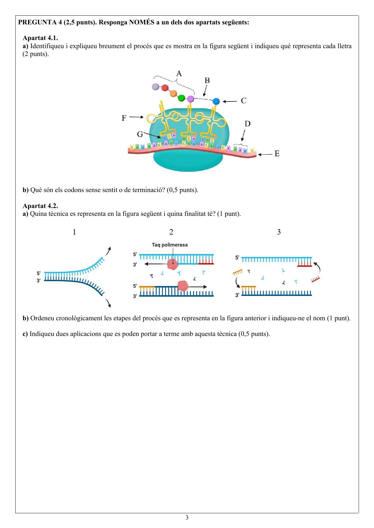 Página 1 del examen de Biología 2026