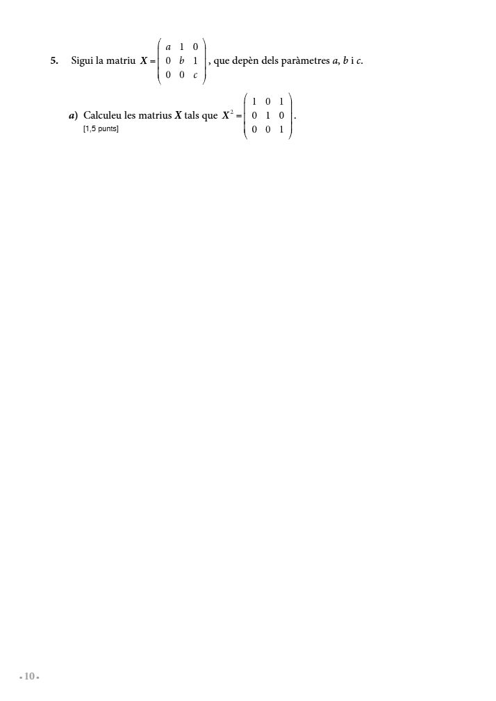 Página 10 del examen de Matemáticas II 2022